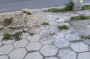 Photo-0003