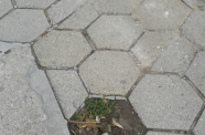 Photo-0002