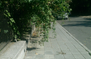 IMAG1161
