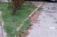 IMG 20140904 073034