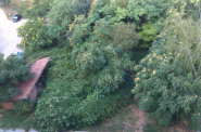 IMAG0333