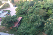 IMAG0330