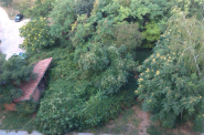 IMAG0337