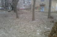 20150220 0707061