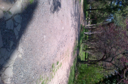 IMG-20150415-00241