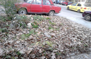 FOTO2