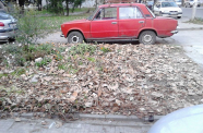 FOTO3