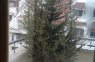 2015-01-17-0383