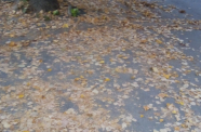 IMG 20141011 185208