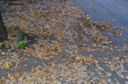 IMG 20141011 185144