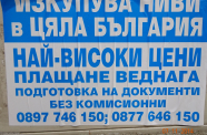DSC00983 - Копие - Копие