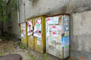 DSC00981 - Копие 3 - Копие