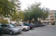 WP 006255