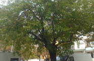 WP 006258