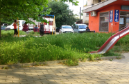 DSC 0157