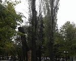 20141103 125857