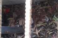 2014-09-04 16.15.13