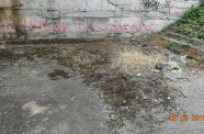DSC01937