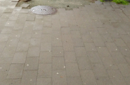 IMG 20150327 081517