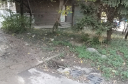 IMG 20151027 102447