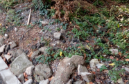 IMG 20181002 162809