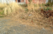 photo 3 9