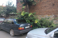 WP 006089