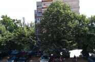 IMG 20180528 1009541