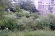 DSC 0191