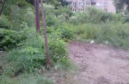 DSC 0188