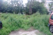 DSC 0185