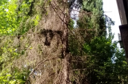 IMG 20150925 142452