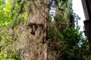 IMG 20150925 142454