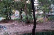 IMG 20150825 194537