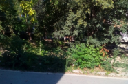 IMG 20150825 171406