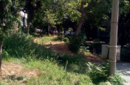 IMG 20150824 113818