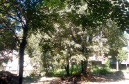 IMG 20150826 114317