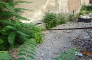 DSC02021