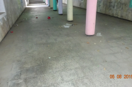 DSC01949