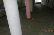 DSC01951