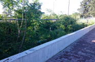 DSC 0519