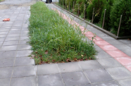 IMG 20140904 072944